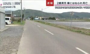 2歳男児が車にはねられ死亡　運転していた80歳男を現行犯逮捕　北海道 - ライブドアニュース